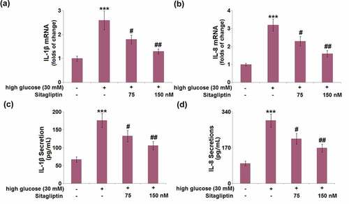 Figure 3. Sitagliptin inhibited high glucose-induced expression and secretions of pro-inflammatory cytokines in HrGECs. (a) mRNA of IL-1β; (b) mRNA of IL-8; (c) Secretion of IL-1β; (d) Secretions of IL-8 (***, P < 0.005 vs. vehicle group; #, ##P < 0.05, 0.01 vs. high glucose group).