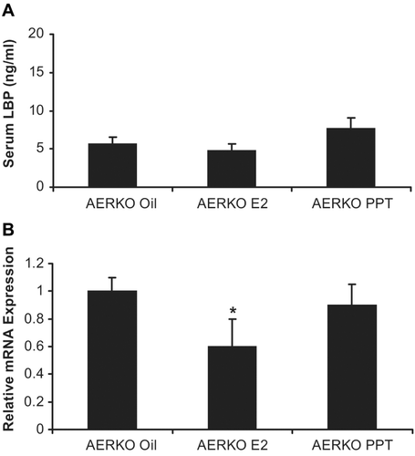Figure 4.  Four day 17β-estradiol and PPT treatments have no effect on serum LBP in AERKO mice while E2 lowers LBP mRNA in AERKO mice livers. (A) AERKO mice treated with E2 or PPT for 4 days result in no difference in serum LBP levels when compared to vehicle (measured by ELISA). B) E2 treatment resulted in a 40% significant decrease of LBP mRNA (measured by real-time RT-PCR, see materials and methods) in AERKO mice liver while the ERα subtype specific agonist, PPT did not demonstrate a significant effect (compared to vehicle). Error bars indicate standard error of the mean. *, p = 0.01.