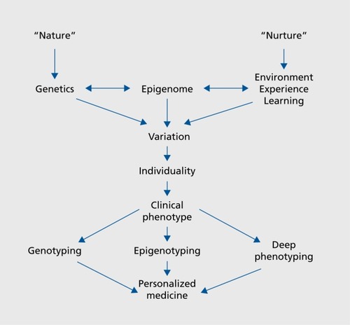 Figure 1. The epigenome as an interface between genes and environment/experience, and its role as a driver of individuality. See text for discussion.