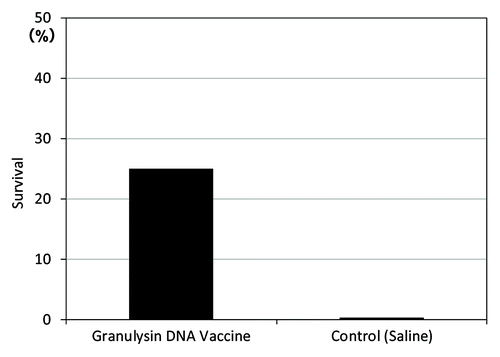 Figure 6. Therapeutic efficacy (survival) of HVJ-Envelope/15K granulysin DNA vaccine, 365 d after TB infection using cynomolgus monkey models. Five × 102 M. tuberculosis (Erdman strain) were intratracheally into cynomolgus monkeys as described in Materials and Methods. Four weeks after challenge of TB, 400μg of HVJ-Envelope/15K granulysin were injected i.m. Six times every two weeks. Survival of monkeys treated with this vaccine were evaluated for 1 y (365 d).