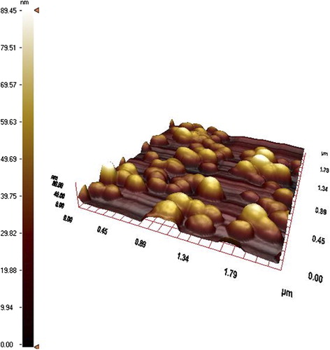 Figure 2. AFM image of AO-loaded PHEMA nanoparticles.