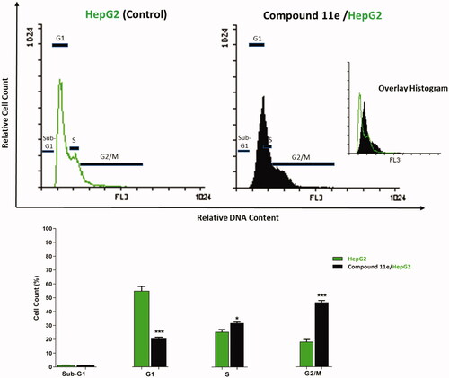 Figure 4. Flow cytometric analysis of cell cycle phases post the compound 11e treatment.