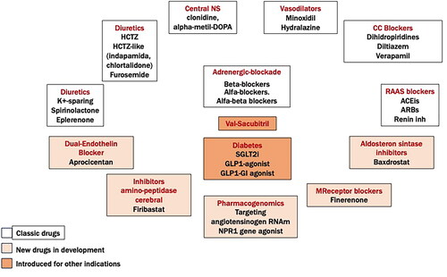 Figure 1. Main class of antihypertensive drugs.