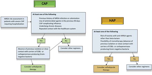 Figure 1. Algorithm illustrating the possible use of ceftobiprole for empirical therapy in patients with CAP and HAP (non-VAP).CAP, community-acquired pneumonia; ESBL, extended-spectrum β-lactamases; HAP, hospital-acquired pneumonia; MRSA, methicillin-resistant Staphylococcus aureus; VAP, ventilator-associated pneumonia.