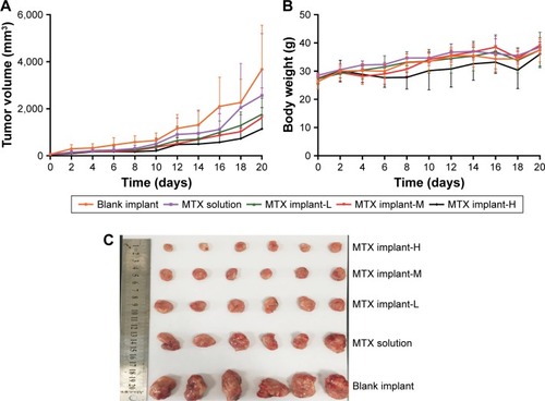 Figure 7 Antitumor efficacy of MTX-loaded implants on sarcoma 180 tumor-bearing mice.