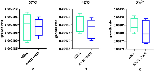 Figure 2 The growth rate of A. baumannii W2LL and ATCC 17978 strains under various conditions: (A) at 37°C, (B) at 42°C, and (C) in the presence of zinc. To assess differences between the means, t-tests were employed.