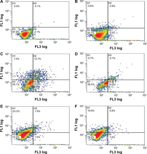 Figure 4 (A–F) Apoptosis/necrosis plots for MCF-7 cells at 72 hours. (A) Untreated control; (B) cells exposed to trastuzumab at 72 hours; (C) cells exposed to doxorubicin at 72 hours; (D) cells exposed to the doxorubicin-trastuzumab combination at 72 hours; (E) cells exposed to geldanamycin at 48 hours; (F) cells exposed to the geldanamycin-trastuzumab combination at 48 hours. Similar trends were observed in the SK-BR-3 graphs. However, higher percentages for necrosis as opposed to early apoptosis were observed.