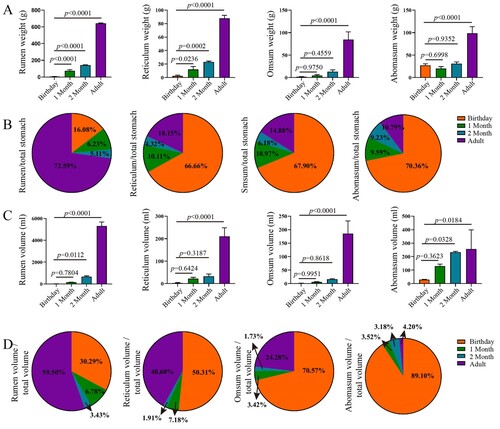 Figure 1. Complex stomach weight and volume in goats from birthday to adult Differences between groups were labeled over bars.