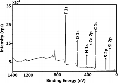 FIG. 1 An XPS survey scan of the aerosols collected with Teflon filters and deposited on stage 2.