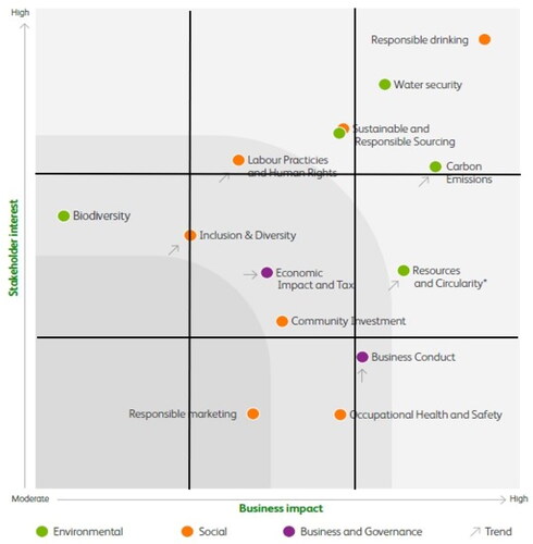 Figure 1. MM presentation example.Source: Heineken N.V. Annual Report (Citation2021, p. 128).