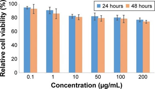 Figure 7 MTT assay of DOTA–BN–TMC–MNPs on T-47D cells after 24 and 48 hours.Abbreviations: DOTA, S-2-(4-isothiocyanatobenzyl)-1,4,7,10-tetraazacyclodo-decane tetraacetic acid; BN, bombesin; TMC, N,N,N-trimethyl chitosan; MNP, magnetic nanoparticle.