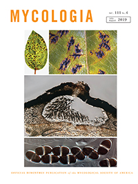 Cover image for Mycologia, Volume 111, Issue 4, 2019
