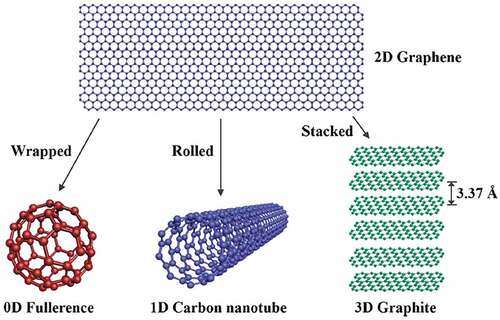 Figure 3. Schematic diagram of fullerene, carbon nanotube and graphite [Citation14].