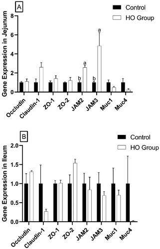 Figure 1. Effect of oregano essential oil on the expression of intestinal barrier related genes [Jejunum (A), Ileum (B)]. ZO-1: zonula occludens 1; ZO-2: zonula occludens 2; JAM2: junctional adhesion molecule 2; JAM3: junctional adhesion molecule 3; Muc1: mucorprotein 1; Muc4: mucorprotein 4. a,bMeans with different superscripts are significantly different (p < .05).