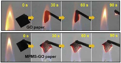 Figure 9. Combustion processes of (top) GO paper and (bottom) MPMS-GO paper. It shows that the improved flame resistance after silane functionalization is resulted [Citation25].