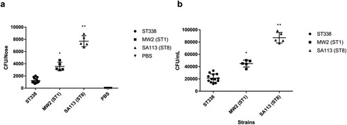 Figure 5. Nasal colonization and cell adhesion capacities of ST338 isolates. (a). Nasal colonization capacity of ST338 isolates compared to MW2 and SA113 strains in mice. Data for the thirteen ST338 isolates in five mice were averaged. (b). Adhesive capacity of ST338, MW2, and SA113 in A549 human alveolar epithelial cells. *P<0.05, **P<0.01.