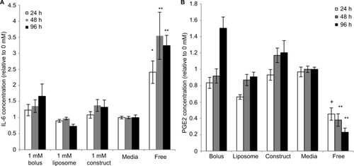 Figure 2 Effects of bupivacaine formulations on stimulated MSC secretion.Notes: Secretion levels quantified in cell culture supernatants collected from eMSC treated for 24, 48, and 96 h with 1 mM of bolus, liposomal, or construct bupivacaine or untreated free MSC controls were normalized to corresponding basal medium controls (0 mM). (A) The baseline IL-6 levels in the control conditions were 9,735.07±882.562, 18,178.1±2,821.54, and 31,886.9±4,590.38 for 24, 48, and 96 h, respectively. (B) The baseline PGE2 levels in the control conditions were 15,822.1±1,790.15, 25,223.7±4,748.25, and 25,372.8±2,972.66 for 24, 48, and 96 h, respectively. Secretions over time are expressed as mean ± SEM of n=6–12 independent observations. Statistically different (*P<0.01 and **P<0.0003) from all conditions at given time point and (+P<0.0005) from all conditions except liposomes at given time point.Abbreviations: eMSC, encapsulated MSC; h, hours; MSC, mesenchymal stromal cell; PGE2, prostaglandin E2; SEM, standard error of the mean.