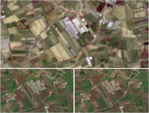 Figure 5. Plastic-covered greenhouses: (a) on Sentinel-2 images, (b) on Google Earth pro images and (c) digitized greenhouses.