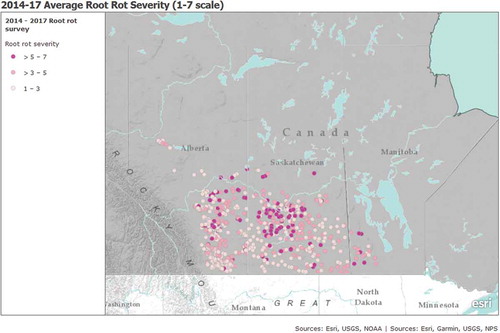 Fig. 2. (Colour online) Average root rot severity of each pea or lentil crops surveyed in Alberta (2014–2017), Saskatchewan (2015–2017) and Manitoba (2016–2017).