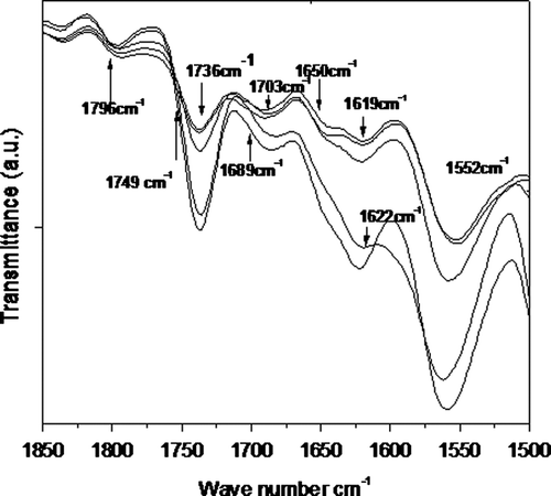 Figure 4. Temperature dependent FTIR spectrum of T1 copolymer at different temperatures.