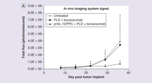 Figure 7. Improvement in antitumor activity of pegylated liposomal doxorubicin plus bevacizumab with the addition of pmIL-12/PPC.(A) Quantified levels of luciferase bioluminescence using an in vivo imaging system in immunocompromised mice injected with SKOV3 human ovarian cancer cell line (7 × 106 cells) constitutively expressing the luciferase gene. Mice were treated with pegylated liposomal doxorubicin (7.5 mg/kg; two treatments once every 3 weeks) plus bevacizumab (10 mg/kg; five treatments administered weekly) or pegylated liposomal doxorubicin plus bevacizumab plus pmIL-12/PPC (100 mg; four treatments administered weekly). (B) Photographic montage showing the relative luciferase levels in mice with peritoneally disseminated SKOV3 human cancer 36 days after tumor inoculation.PLD: Pegylated liposomal doxorubicin.