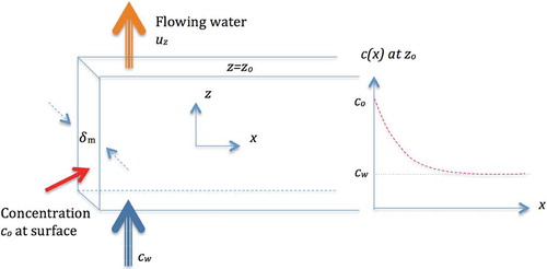 Fig. 1. Illustration of concentration profile in the water in a vertical slot in contact with the buffer with concentration co at its surface, indicated by the solid arrow to the left.