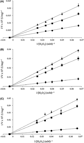 Figure 6. Lineweaver–Burk graphs for purified P. chrysosporium catalase at five different substrate (H2O2) and two different fungicides concentration at pH 7.0 and 25°C; (A) control (-●-), 0.9 mM (-■-), 2.0 mM (-▲-) for benomyl; (B) control (-●-), 1.44 mM (-■-), 2.88 mM (-▲-) for captan and (C) control (-●-), 0.475 mM (-■-), 2 mM (-▲-) for chlorothalonil.