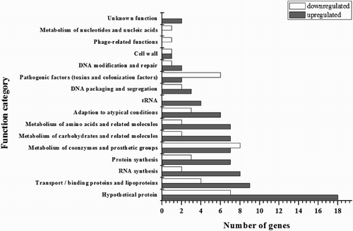 Figure 1. CMA-responsive genes grouped by functional classification. The genes were significantly regulated more than 2-fold after taking logarithm. The differentially regulated genes were divided into 16 functional categories. The number of genes upregulated and downregulated for each functional group is represented.