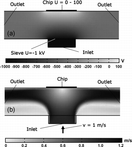 FIG. 5 Simulation for the specific geometry as shown in Figure 4; (a) air velocity field; (b) electrostatic potential.