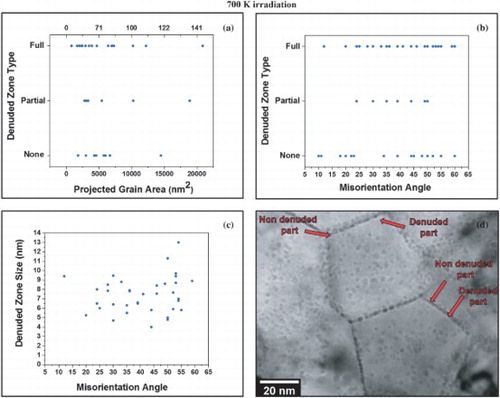 Figure 3. (a) and (b) Denuded zone type vs. grain size and misorientation angle, respectively. (c) Denuded zone size (nm) vs. misorientation angle and (d) overfocused bright field TEM image showing half denuded grain boundaries (pointed by red arrows). All images are for the 700 K irradiation case.