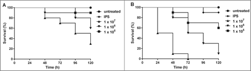 Figure 1. Dose- and temperature dependent mortality of G. mellonella larvae infected with A. terreus. Ten larvae each were infected with different conidial concentrations of A. terreus (T90) and incubated at 30°C (A) or 37°C (B), respectively. Experiments were performed at least 3 times. Kaplan-Meyer curves represent one out of 3 experiments. Significant difference (p ≤ 0.05) was observed within different inocula tested at each temperature.