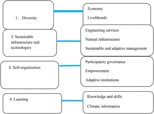 Figure 1: Summary of the resilience framework