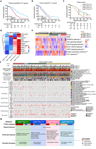Figure 6. C5aR1 and PD-L1 expression panel correlates with oncogenic pathway activity, therapeutic signatures and molecular alterations.