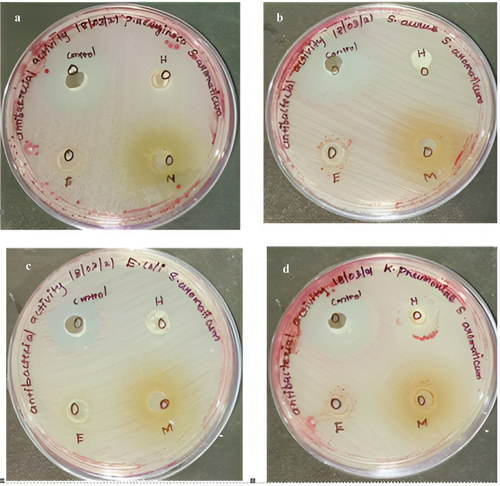 Figure 7. Antibacterial activity of plant extract on different microorganisms.