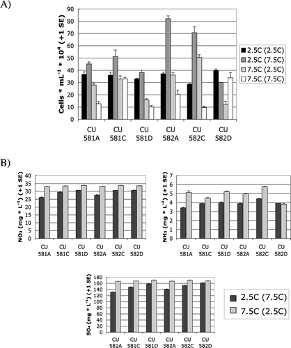 FIGURE 3 Mean cell counts (+1 SE) of growth after four weeks for different strains of Cr. tughillensis under combinations of growth (first temperature) and acclimation (second temperature) (°C) (A) and after five weeks for nitrate (NO3), ammonium (NH3), and sulfate (SO4) content (+1 SE) of strains grown at 2.5°C following acclimation at 7.5°C, and of strains grown at 7.5°C following acclimation at 2.5°C (B).