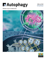 Cover image for Autophagy, Volume 9, Issue 10, 2013