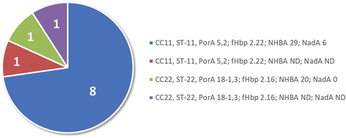 Figure 2. Characteristics of the 11 hSBA-tested MenW strains from 2010–2011.