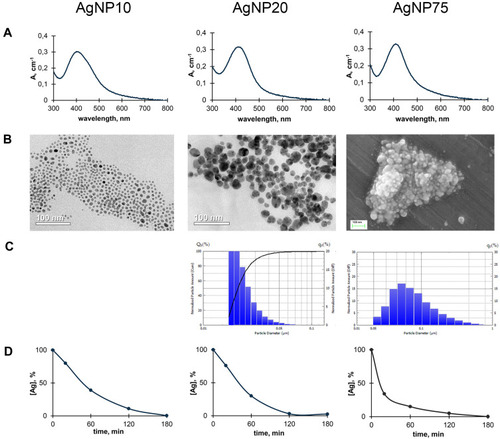 Figure 2 Some physicochemical properties of fabricated AgNPs. Columns correspond to AgNPs of different sizes: (A) UV/Vis absorption spectra of aqueous suspensions of AgNPs; (B) images of AgNPs obtained by transmission (AgNP10 and AgNP20) or scanning electron microscopy (AgNP75); (C) distribution of the AgNPs by their diameter as measured using laser diffractometry; (D) sedimentation of AgNPs during centrifugation; abscissa, time, min; ordinate, % of initial silver content in the supernatant suspension.