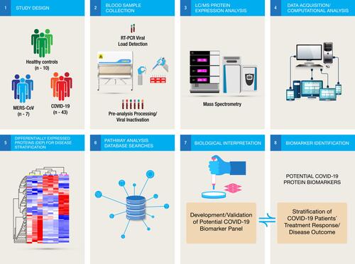 Figure 1 Workflow illustration. Peripheral blood samples collected from different sample cohorts were pre-processed. The biomaterials were inactivated prior to proteomic analysis, and complex differentially expressed protein (DEP) data were subjected to multivariate computational analysis for biological interpretation of the different stages of the coronavirus disease process. The datasets were filtered, and potential COVID-19-related biomarker panels were identified. The details of the clinical and demographic characteristics of all the samples are listed in.Table 1