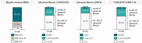 Figure 3. Description of the risk of hepatic steatosis and risk of advanced fibrosis. his: hepatic steatosis index; NAFLD-FS: nonalcoholic fatty liver disease fibrosis score; FIB-4: fibrosis-4.