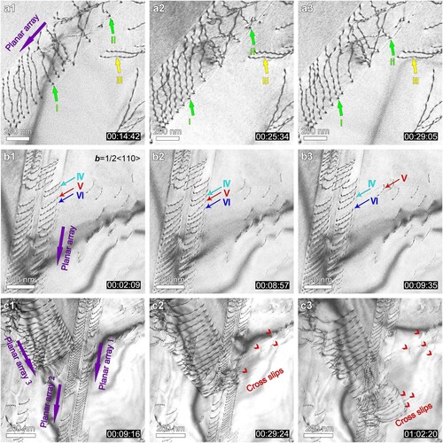 Figure 2. Dislocation activities in fcc grain interior of the AlCoCrFeNi2 HEA. (a1)–(a3) Serial in-situ TEM images from Supplementary Video 1 showing the motion of dislocations confined in a slip plane. (b1)–(b3) Screenshots from Supplementary Video 2 showing a dislocation marked by V cross-slip from a primary (111¯) plane onto an intersecting (11¯1) plane. (c1)–(c3) Sequential snapshots of extensive cross-slip processes when two planar arrays interact with each other. See Supplementary Video 3 for further details.