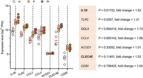 Figure 5 Validation of hub genes in the Gene Expression Omnibus (GSE106090) dataset. Bold gene symbols are the core genes characterized by p < 0.05 and fold change > 1.5. Data are the means ± SEMs (n = 6 individuals), one-way ANOVA followed by Tukey’s test.