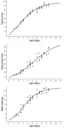 Figure 3. Growth curves of Grassland Sparrow nestlings for tarsus, wing chord and body mass. Curves were fitted to a Richard’s equation using non-linear mixed models. Black dots represent the real measures obtained from nestlings (N = 15 nestlings from six nests)