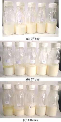Figure 2. Stability of vitamin C W1/O emulsion: (a) 0th day, (b) 7th day, and (c) 14th day.