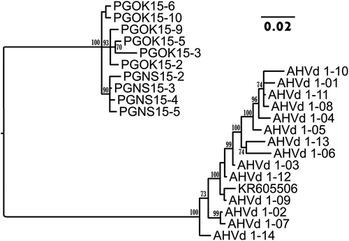 Fig. 3 Bayesian phylogenetic tree illustrating the relationships between isolates of AHVd RNA-PG (OK = Okanagan, NS = Nova Scotia) and AHVd RNA-F variants. AHVd RNA-F variants are indicated as KR605506 and AHVd in the tree. Posterior probabilities of 70 per cent or higher are shown at group nodes. Scale bars indicate the number of substitutions per residue.