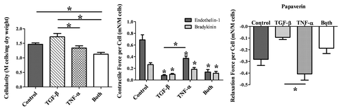 Figure 5 Cellularity and contractile force per cell. There are significant differences in the number of cells found in the different TEVMs. The TGFβ1-treated TEVMs contain the most cells while the TEVMs treated with the combination of TGFβ1 and TNFα have the fewest. All treated TEVMs elicit a significantly lower contractile force per cell than the untreated controls. The TNFα-treated TEVMs elicit a higher contractile force per cell than the TGFβ1-treated TEVMs.