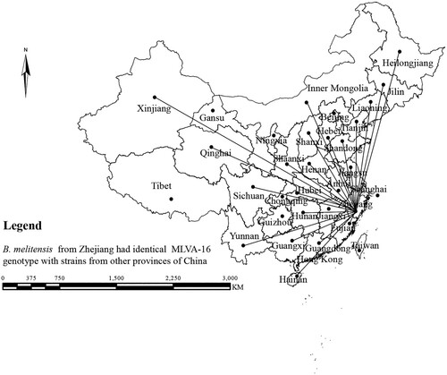 Figure 3. The strain from this study has an MLVA-16 genotype identical to that of strains from 21 different provinces in China (note: the map does not represent the true borders of the administrative regions of China).