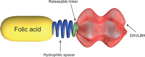 Figure 2 Chemical construction of vintafolide as a small molecule drug conjugate.