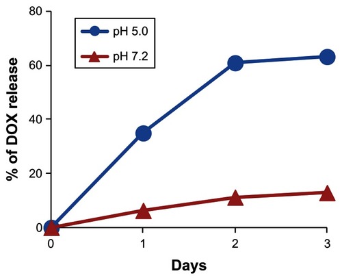 Figure 7 Time course of DOX release from HspG41C–DOX at pH of 5.0 and 7.2.Note: Data represents mean ± standard error of the mean (n = 3).Abbreviations: DOX, doxorubicin; HspG41C, mutant heat shock protein cage; HspG41C–DOX, HspG41C cage carrying doxorubicin.