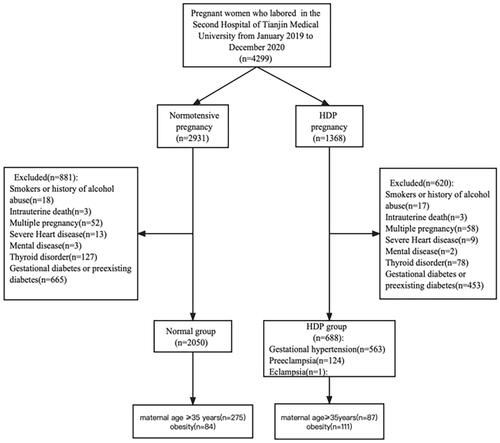 Figure 1. Flow chart of the study.